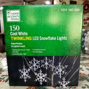 Home Accents Holiday 10 Count Cool White Twinkling LED Snowflakes 9-Ft See Video